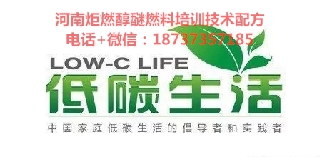 甲醇燃料与天然气的对决 从能效之争到燃料添加剂的新发现